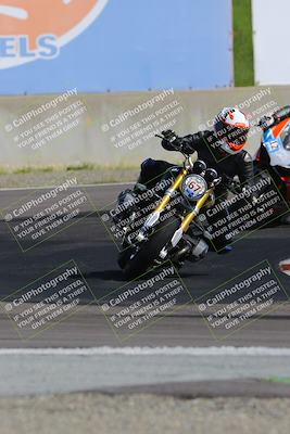 media/Mar-17-2024-Fastrack Riders (Sun) [[c7d6f8c14c]]/Level 2/Turn 11/